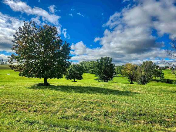 1 Acre of Residential Land for Sale in Cherry Grove-Shannon Township, Illinois