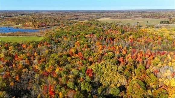 36.78 Acres of Recreational Land for Sale in Brook Park, Minnesota