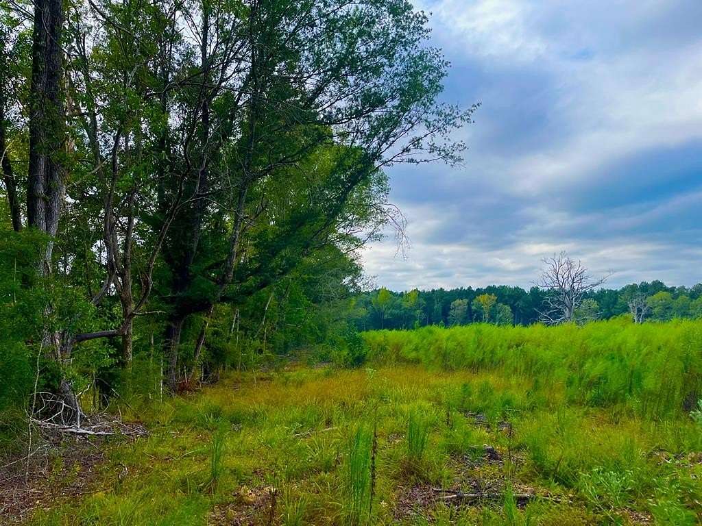 19.47 Acres of Recreational Land for Sale in Brookhaven, Mississippi