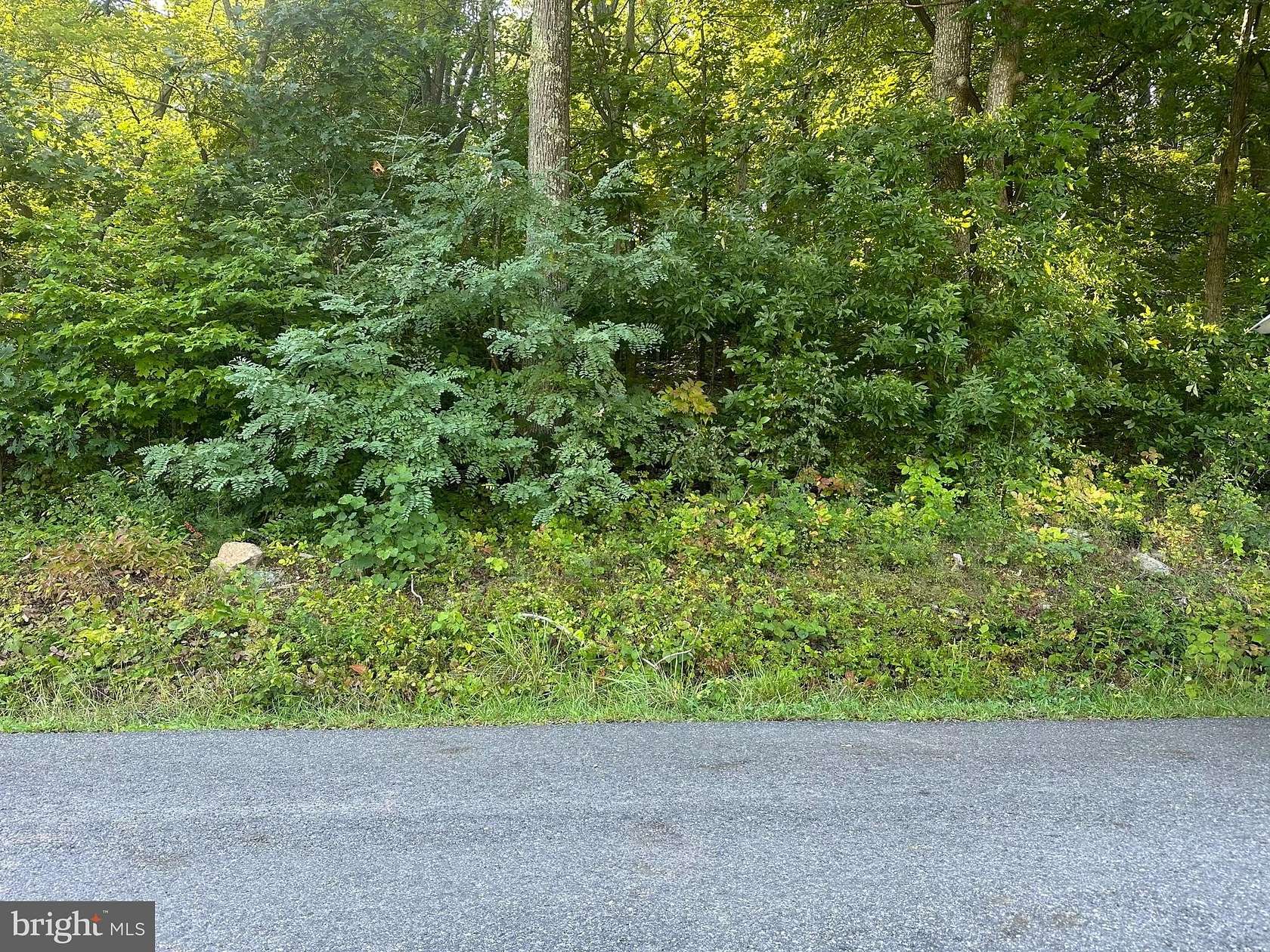 0.59 Acres of Residential Land for Sale in Winchester, Virginia