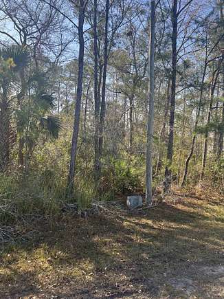 0.5 Acres of Residential Land for Sale in St. Marks, Florida