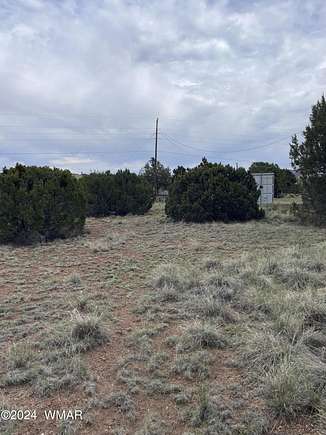 0.34 Acres of Residential Land for Sale in Concho, Arizona