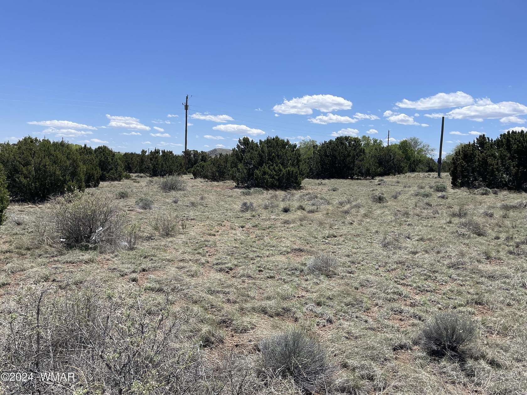 0.34 Acres of Residential Land for Sale in Concho, Arizona