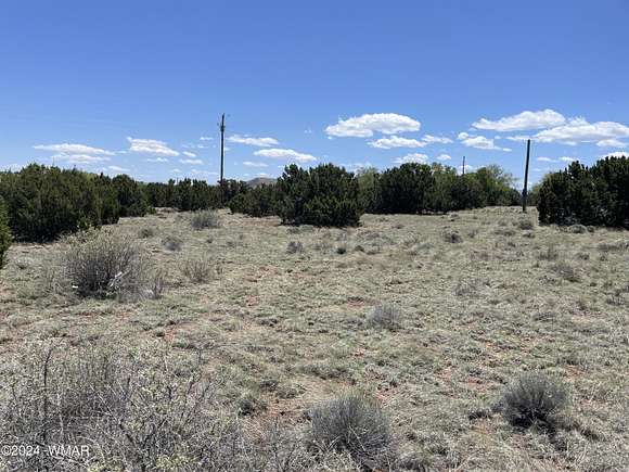 0.34 Acres of Residential Land for Sale in Concho, Arizona