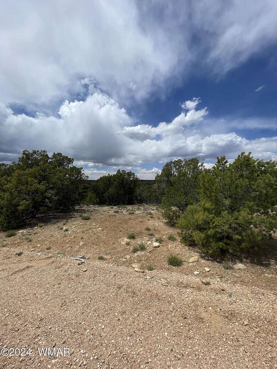 2.28 Acres of Residential Land for Sale in Concho, Arizona