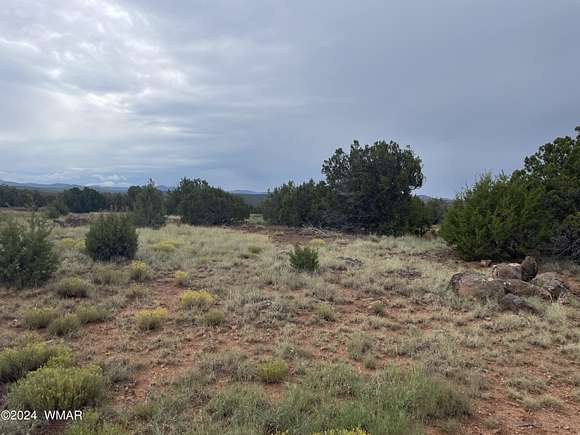 1.16 Acres of Residential Land for Sale in Concho, Arizona