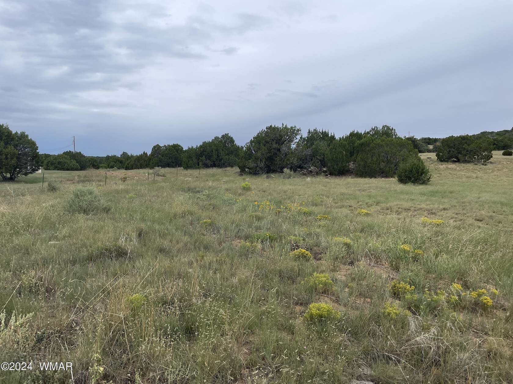 1.25 Acres of Residential Land for Sale in Concho, Arizona