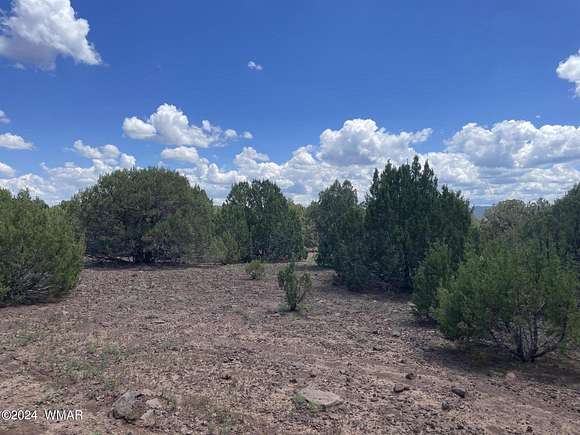 0.29 Acres of Land for Sale in Vernon, Arizona