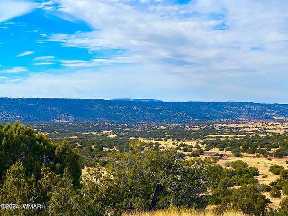 2.3 Acres of Residential Land for Sale in Concho, Arizona