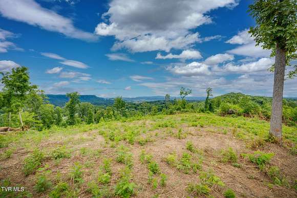 31.33 Acres of Land for Sale in Kingsport, Tennessee