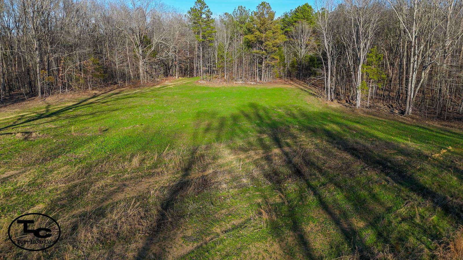 153.63 Acres of Land for Sale in Beech Bluff, Tennessee