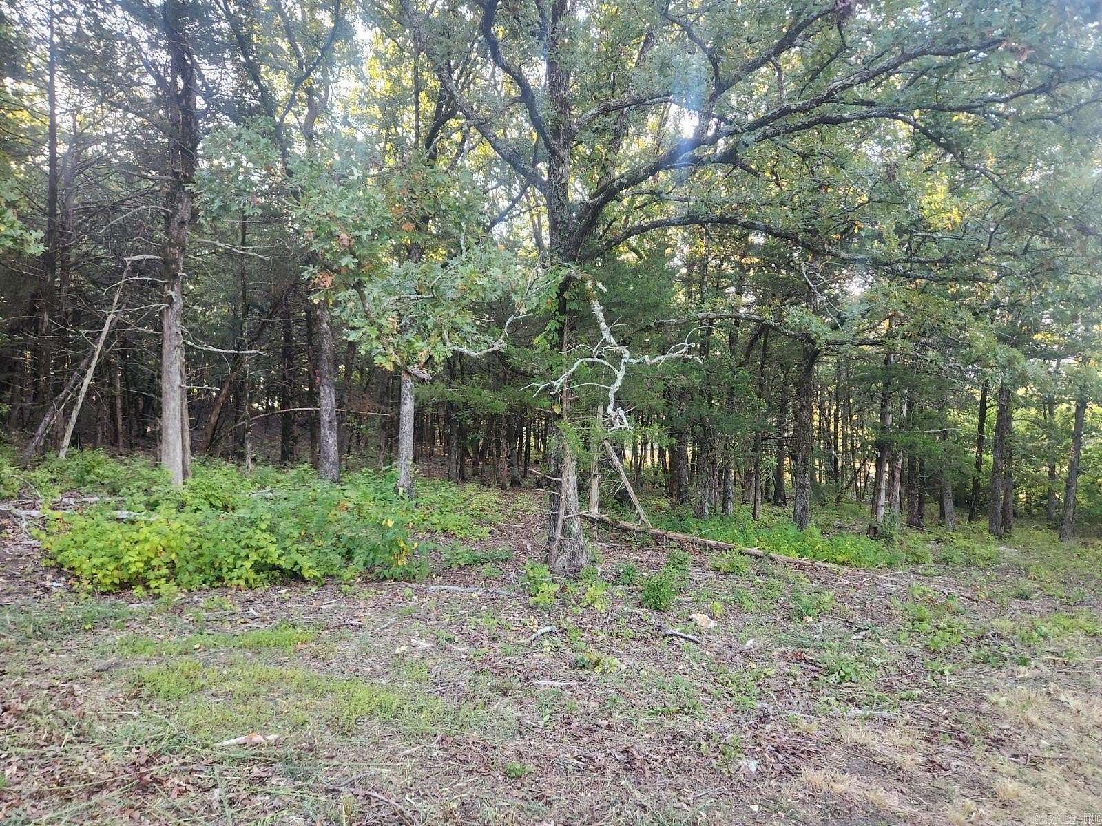 1.93 Acres of Residential Land for Sale in Mountain View, Arkansas