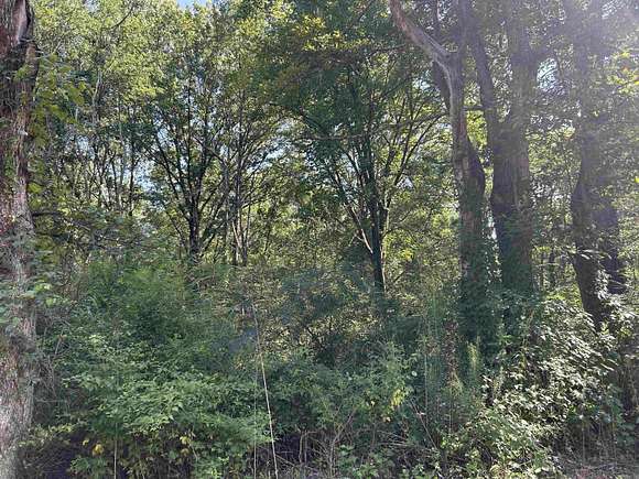 0.09 Acres of Land for Sale in Brinkley, Arkansas