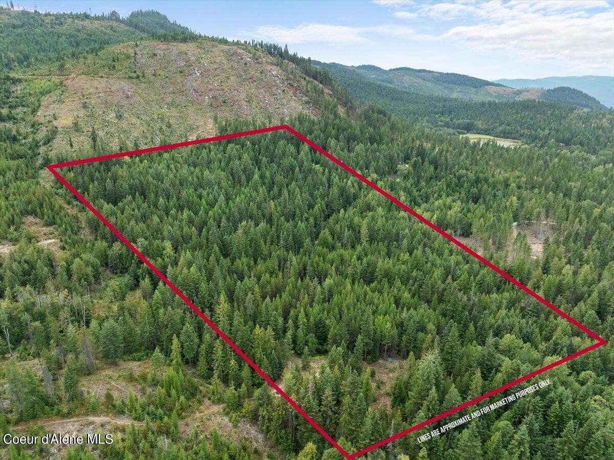 20 Acres of Land for Sale in Sagle, Idaho