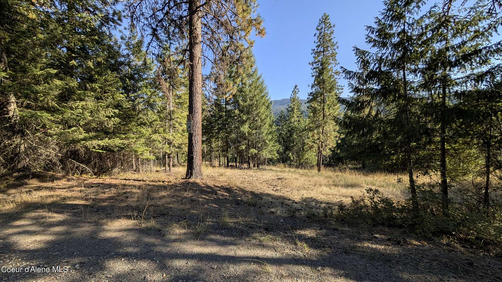 10 Acres of Residential Land for Sale in Coeur d'Alene, Idaho