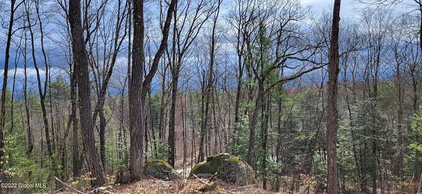 29 Acres of Recreational & Residential Land for Sale in Queensbury, New York