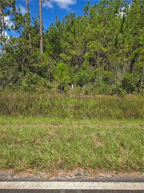 20 Acres of Land for Sale in Waycross, Georgia