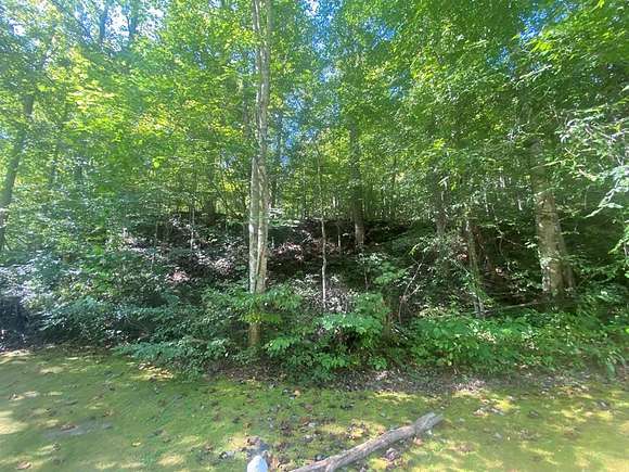 10 Acres of Residential Land for Sale in Williamson, West Virginia