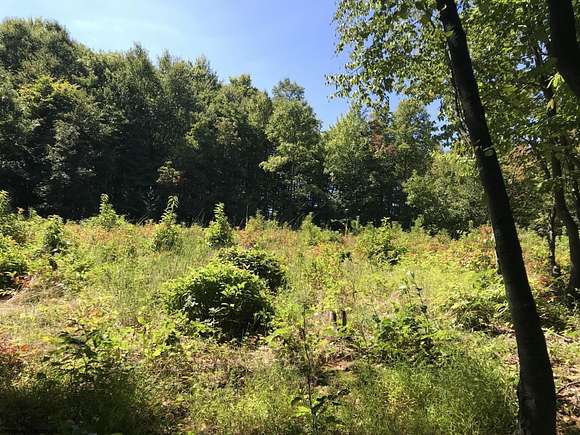 14 Acres of Recreational Land for Sale in Tunnelton, West Virginia