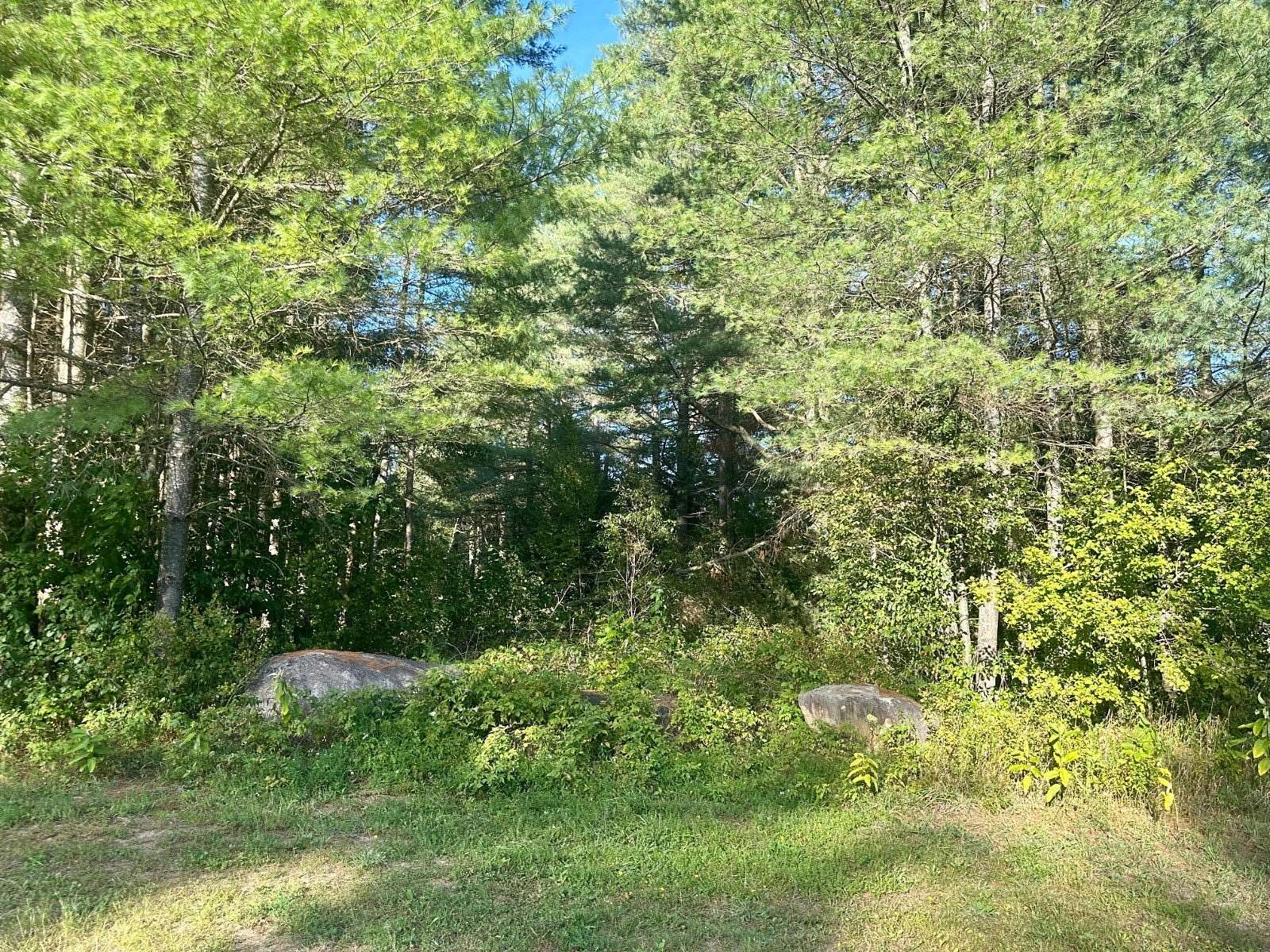 0.73 Acres of Residential Land for Sale in Speculator, New York