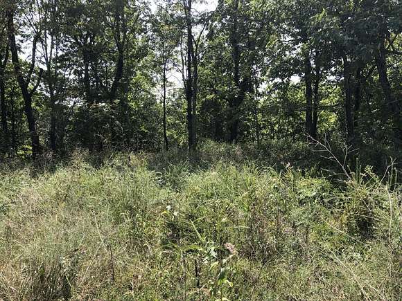 2.24 Acres of Land for Sale in Lurton, Arkansas