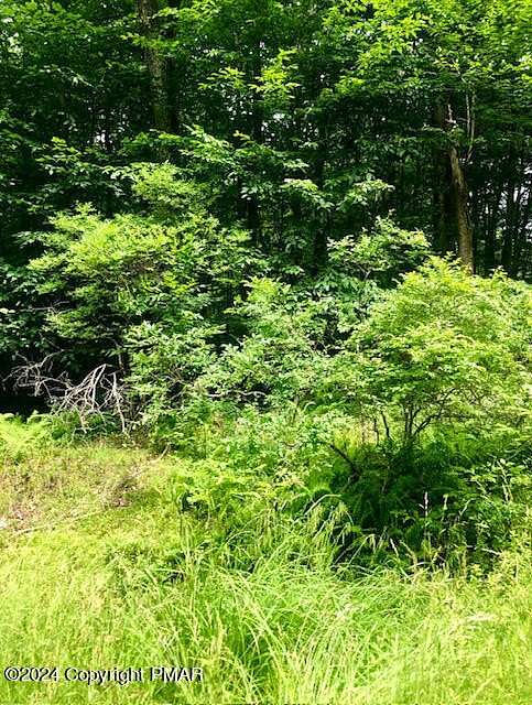 0.25 Acres of Residential Land for Sale in Pocono Lake, Pennsylvania