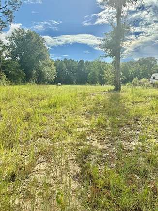 0.95 Acres of Residential Land for Sale in Carriere, Mississippi