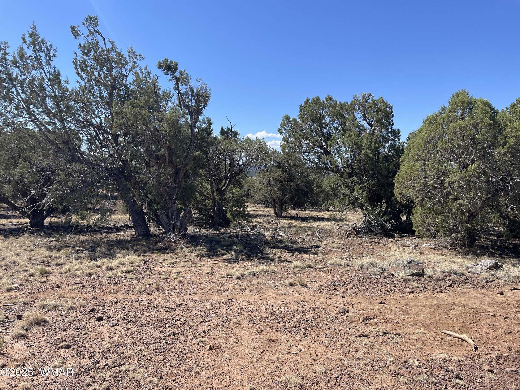 2.42 Acres of Land for Sale in Concho, Arizona