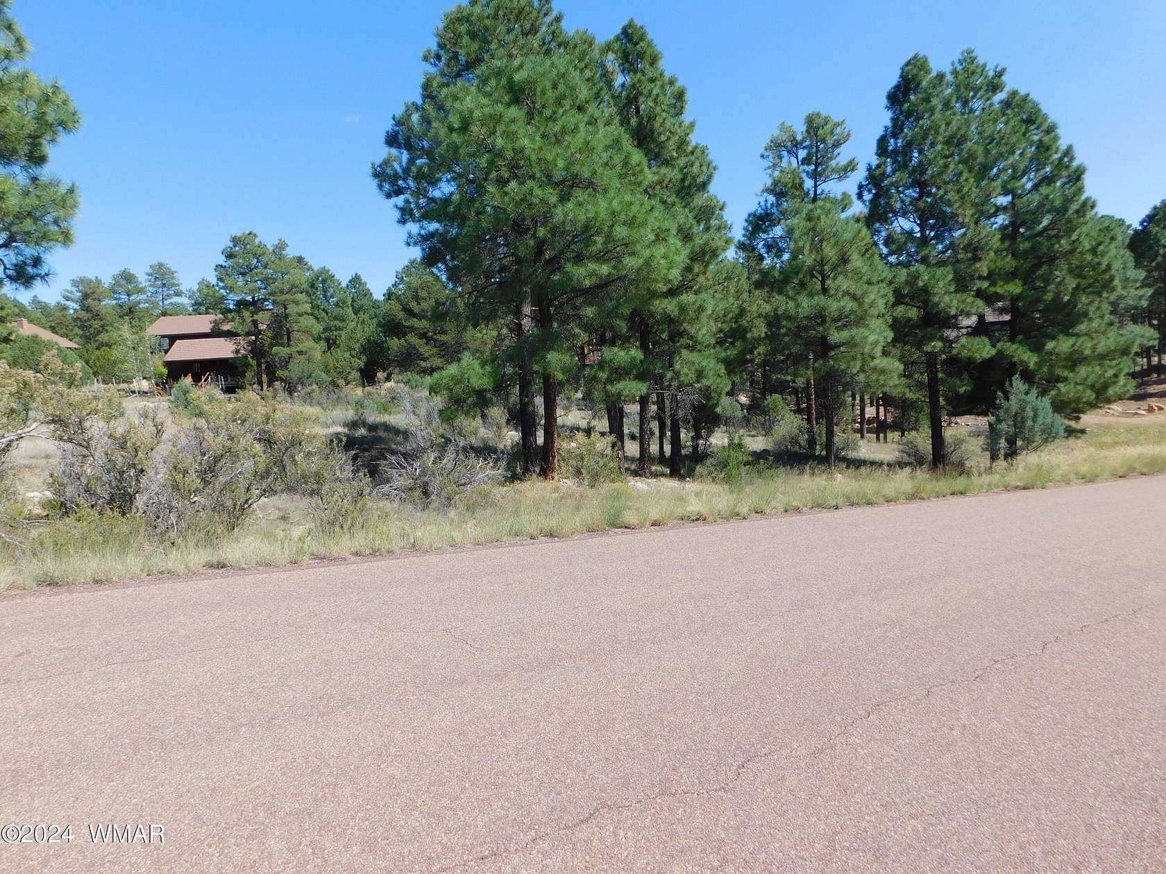 0.59 Acres of Residential Land for Sale in Overgaard, Arizona