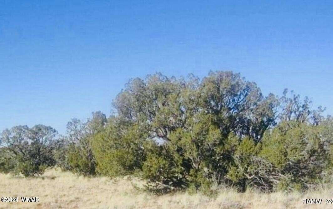 5.04 Acres of Residential Land for Sale in Heber, Arizona