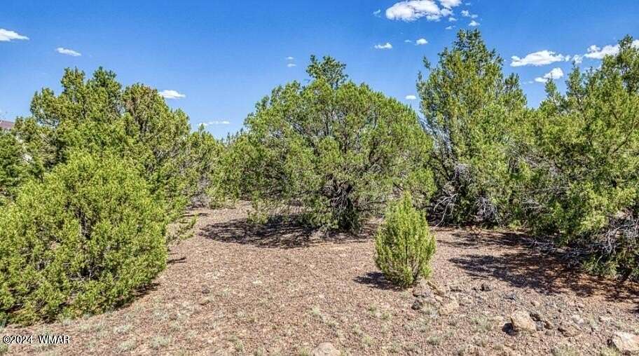 1.16 Acres of Residential Land for Sale in Vernon, Arizona