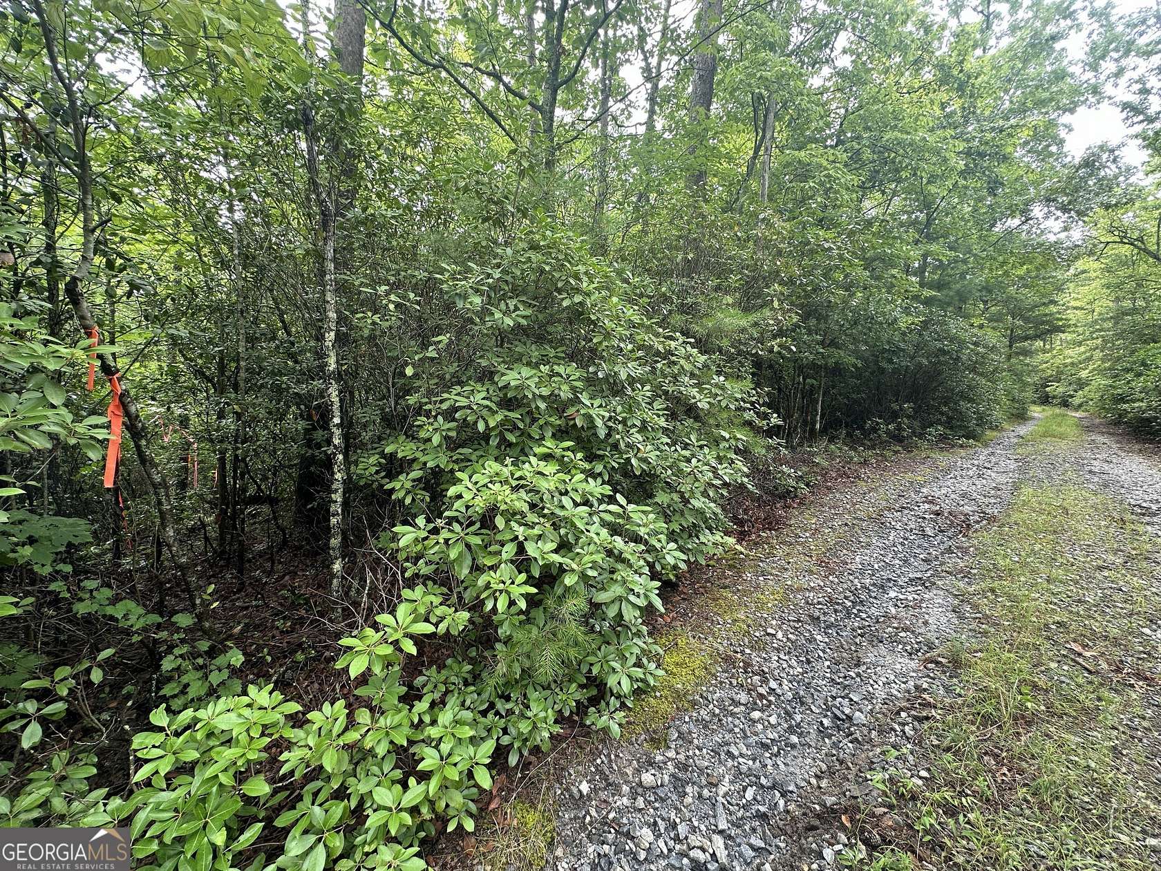 3 Acres of Residential Land for Sale in Sautee-Nacoochee, Georgia