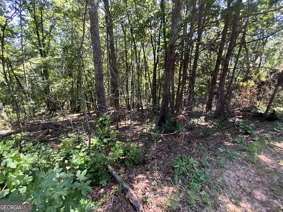 1.86 Acres of Residential Land for Sale in Cleveland, Georgia