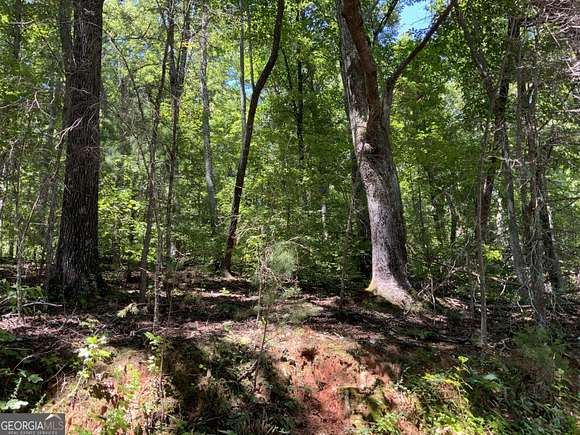 1.2 Acres of Residential Land for Sale in Cleveland, Georgia