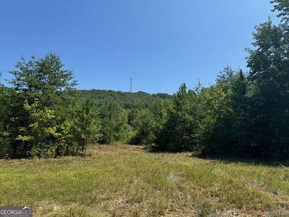 125 Acres of Recreational Land for Sale in Rydal, Georgia