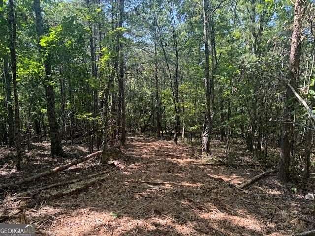 186 Acres of Recreational Land for Sale in Rydal, Georgia