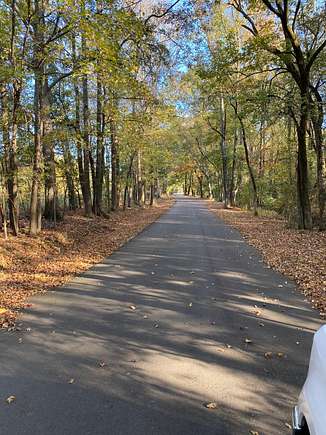 Bright Rd. with trees that provide a canopy.