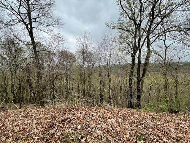 0.663 Acres of Residential Land for Sale in Holiday Island, Arkansas