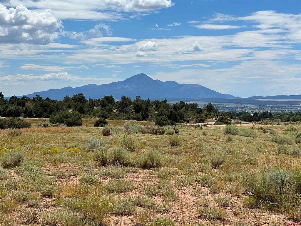 44.74 Acres of Agricultural Land for Sale in Dolores, Colorado