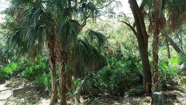0.3 Acres of Residential Land for Sale in Fripp Island, South Carolina