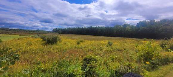 8 Acres of Land for Sale in Bangor, Michigan