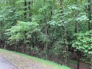 0.65 Acres of Residential Land for Sale in Ellijay, Georgia