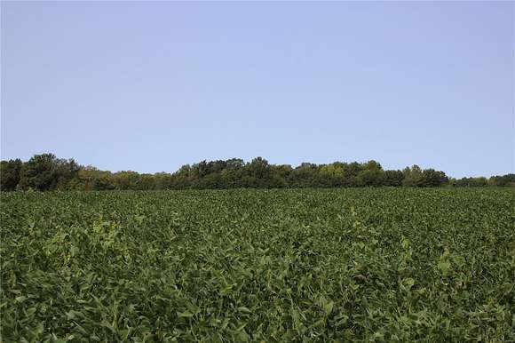 140 Acres of Land with Home for Sale in Paris, Missouri