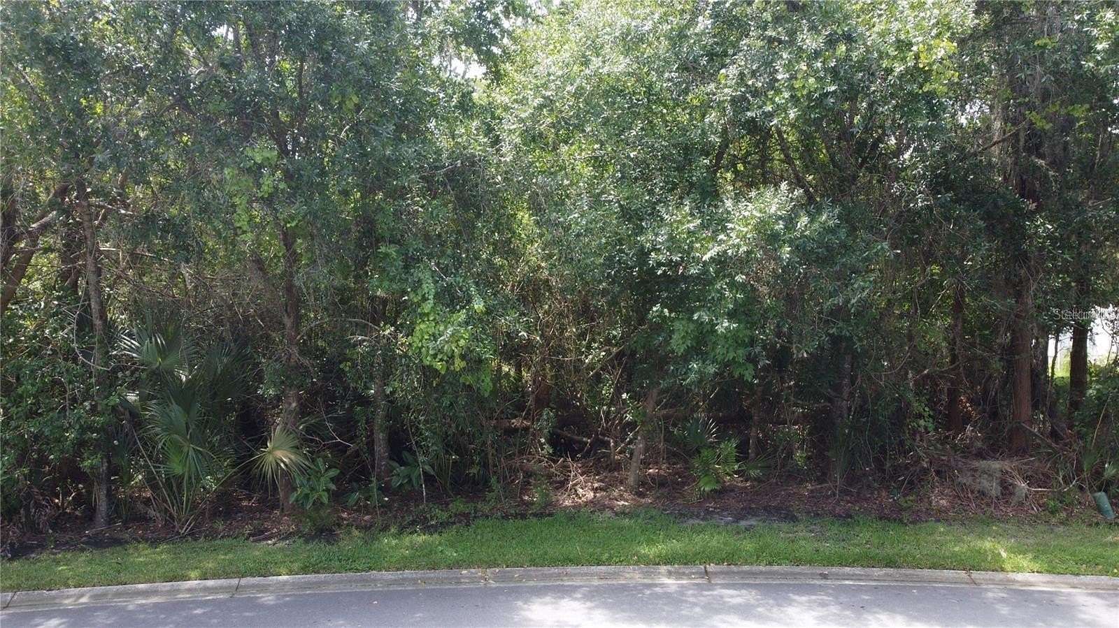 0.5 Acres of Residential Land for Sale in Kissimmee, Florida