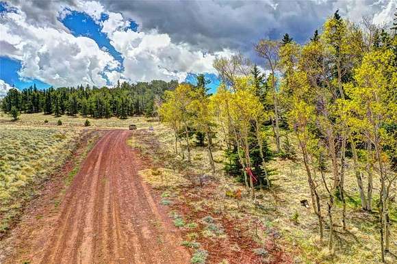 6.66 Acres of Residential Land for Sale in Hartsel, Colorado