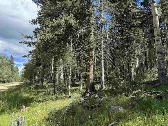 5.96 Acres of Residential Land for Sale in Angel Fire, New Mexico