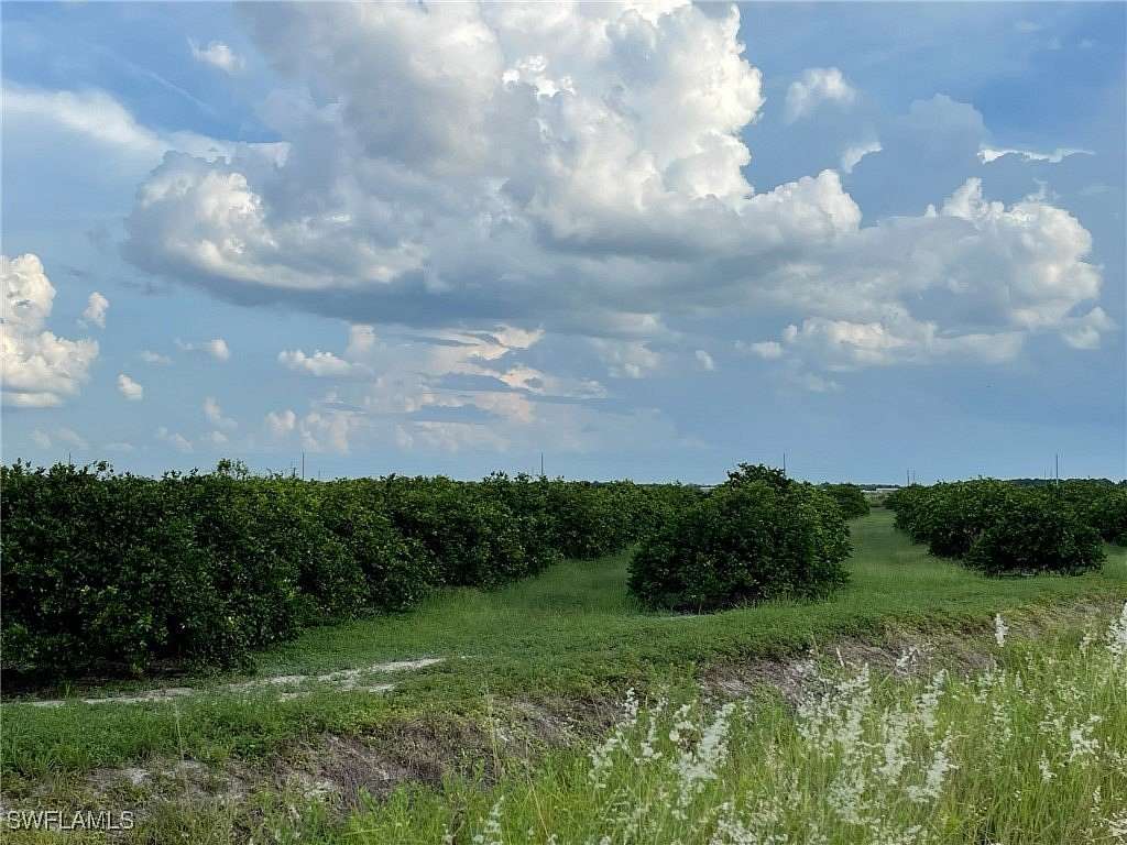 72.33 Acres of Land for Sale in LaBelle, Florida