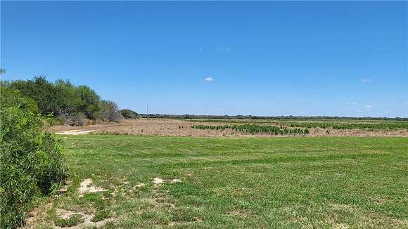 223.84 Acres of Land for Sale in Falfurrias, Texas