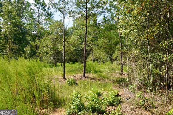 2 Acres of Residential Land for Sale in Newnan, Georgia