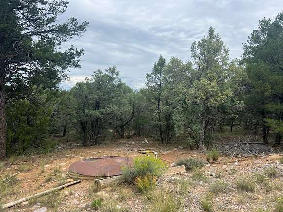 2 Acres of Residential Land for Sale in Tierra Amarilla, New Mexico